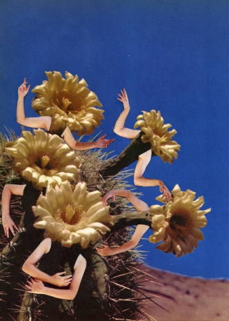 Marnie Weber , Cactus Blooms (6.28.12), 2012 , Praz-Delavallade