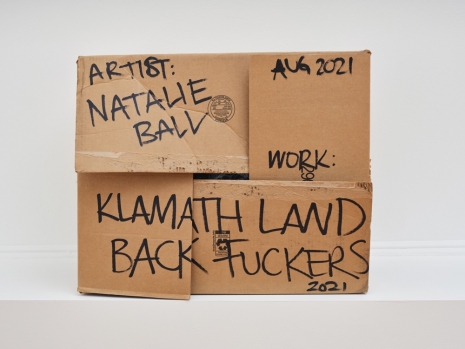 Natalie Ball, Klamath Land Back Fuckers, 2021, Bortolami Gallery