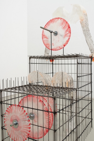 Rebecca Ackroyd, fertile ground, 2022 , Peres Projects