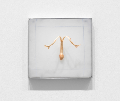 Martha Poggioli , Body Double (ES2418229B1), 2022 , Rhona Hoffman Gallery