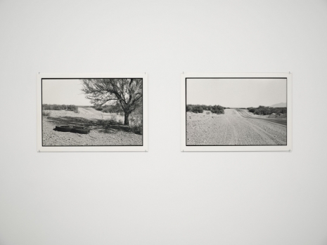 Zoe Leonard, On the road to Candelaria, 2020/2022 , Hauser & Wirth