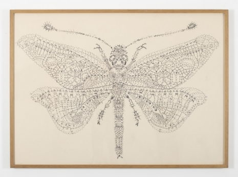Richard Fauguet , Insecte, 1999, Wilde