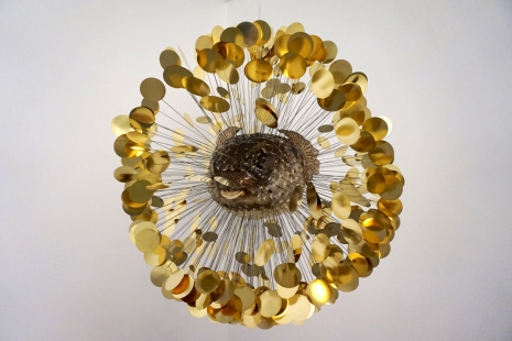 Alexandre Joly , Magnetic Fish, 2011-2017 , Wilde