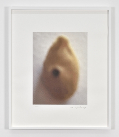 Mirosław Bałka, The Seed, 2019, Marian Goodman Gallery