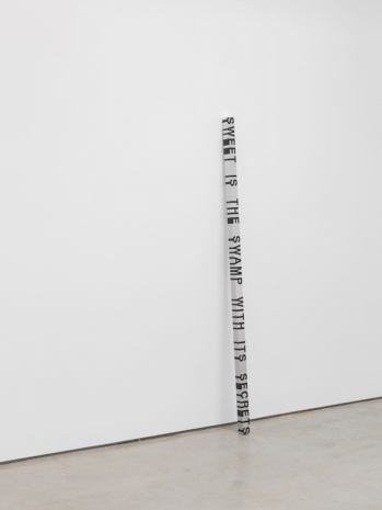 Roni Horn, Key and Cue, No. 1740 (SWEET IS THE SWAMP WITH ITS SECRETS), 1994/2007 , Hauser & Wirth