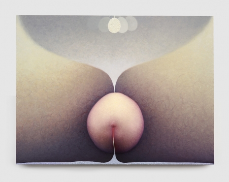 Loie Hollowell, Bellyscape and Plumb bob, 2020 , White Cube