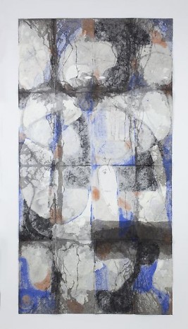 Gabriel Orozco, Blue Leaves, Summer Lac Du Bourdon, St Fargeau 2009/2010, 2009 - 2010, Marian Goodman Gallery