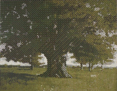 Gabriel Orozco, Courbet's Oak Tree, 2011, Marian Goodman Gallery
