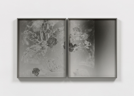 Lisa Oppenheim, Blumenstilleben, N.D./2022 (Version II), 2022 , Tanya Bonakdar Gallery