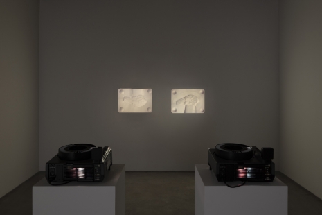 Lisa Oppenheim, Kakadu, 2022 , Tanya Bonakdar Gallery