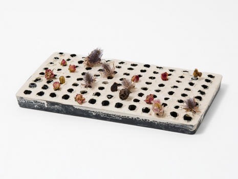 Veronica Ryan, Seed tray, 2022, Alison Jacques