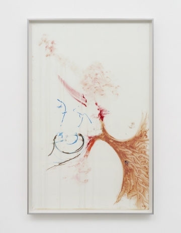 Julia Phillips, Conception Drawing II (Tissue?), 2020–21 , Matthew Marks Gallery