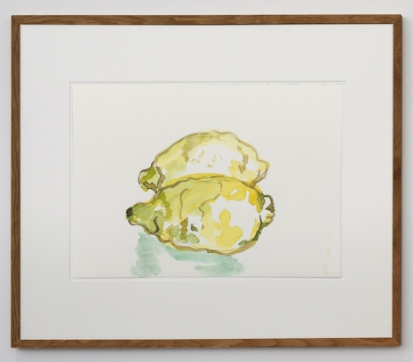 Rirkrit Tiravanija, untitled 2022 (lemon two times), 2022 , Gladstone Gallery
