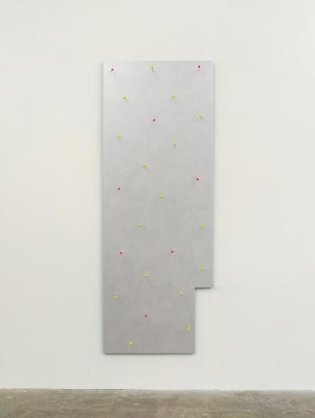 Lisa Williamson, Reflection Pool, 2022 , Tanya Bonakdar Gallery