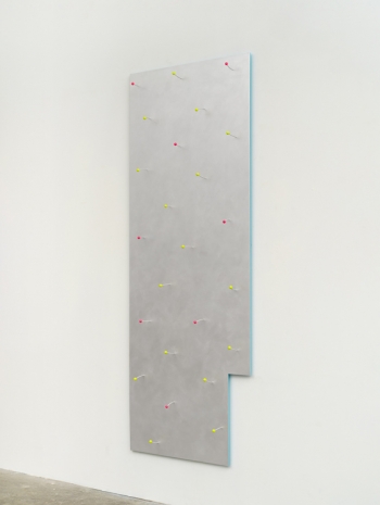 Lisa Williamson, Reflection Pool, 2022 , Tanya Bonakdar Gallery