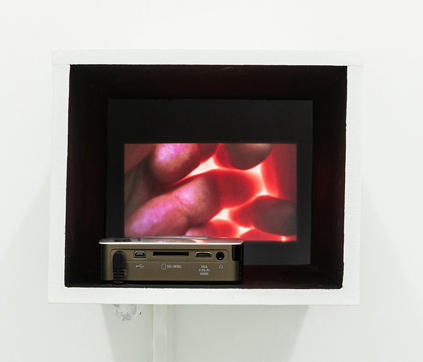 Luciana Lamothe, One frame life, 2022, Galerie Alberta Pane