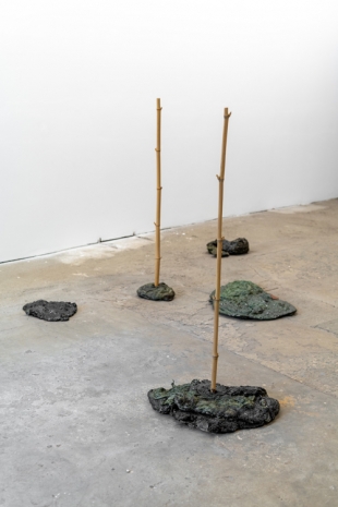 Nicola Pecoraro, Untitled, 2017, Galerie Alberta Pane