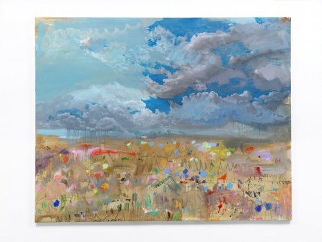Tursic & Mille, Cloudy colors, 2022, Alfonso Artiaco
