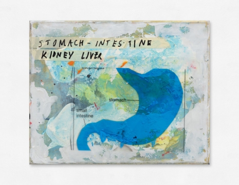 Henrik Olesen, Stomach, intestine, kidney, liver, 2022 , Galleria Franco Noero