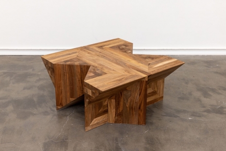 Raphaël Zarka, Partition Régulière W5M1, 2022 , Galerie Mitterrand