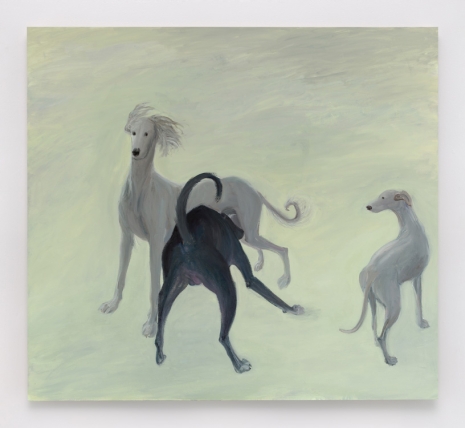 Xinyi Cheng, Greyhounds, 2022 , Matthew Marks Gallery