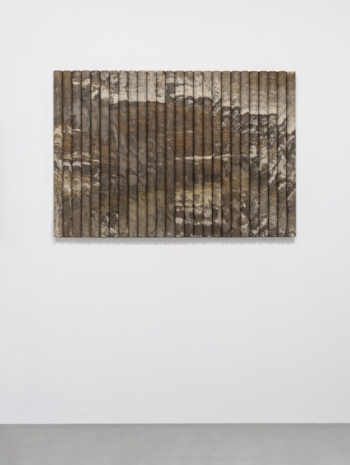 Elena Damiani, Testigos IV , 2022  , Galerie Nordenhake
