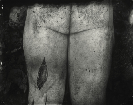 Sally Mann, Untitled, 2001 , Gagosian