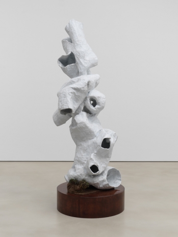 Rodney McMillian, Specimen, 2022 , Petzel Gallery
