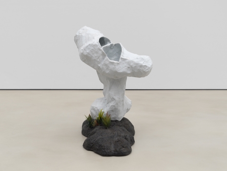 Rodney McMillian, Specimen, 2022 , Petzel Gallery