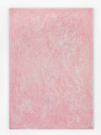 John Zurier , Blossoms fall like snow, 2022 , Galerie Nordenhake