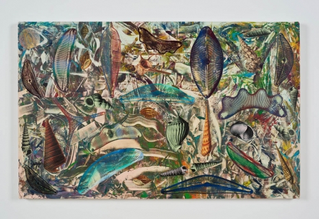 Philip Taaffe, Painting with Diatoms and Shells II, 2022 , Luhring Augustine Tribeca
