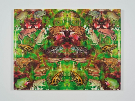 Philip Taaffe, Panel with Larger Frogs, 2022 , Luhring Augustine Tribeca
