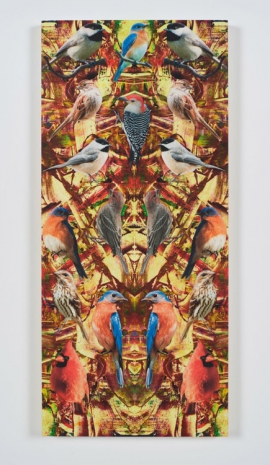 Philip Taaffe, Indigenous Birds II, 2022 , Luhring Augustine Tribeca