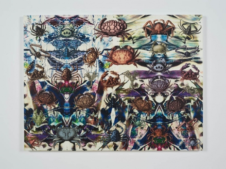 Philip Taaffe, Composition with Crabs, 2022 , Luhring Augustine Tribeca