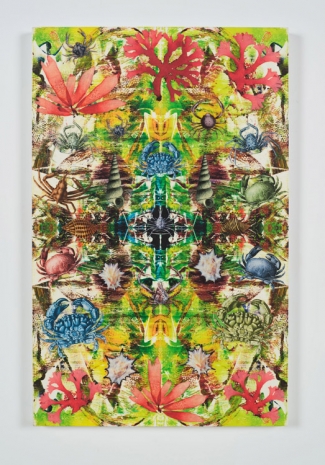 Philip Taaffe, Composition with Crabs, Algae and Shells, 2022 , Luhring Augustine Tribeca