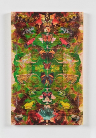 Philip Taaffe, Composition with Frogs II, 2021 , Luhring Augustine Tribeca