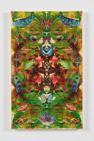 Philip Taaffe, Composition with Frogs I, 2021, Luhring Augustine Tribeca