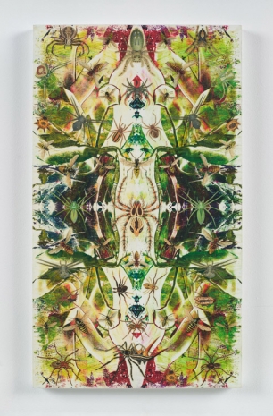 Philip Taaffe, Composition with Spiders and Wasps II, 2022 , Luhring Augustine Tribeca