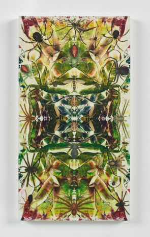 Philip Taaffe, Composition with Spiders and Wasps III, 2022 , Luhring Augustine Tribeca