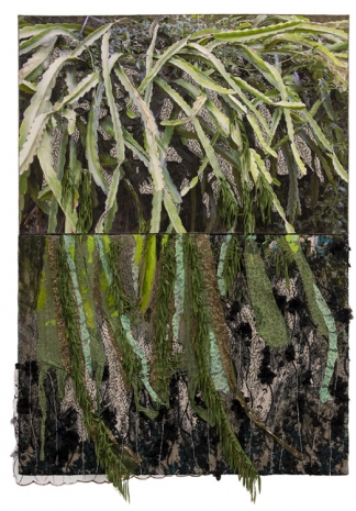 Naomi Safran-Hon, Palm Tree, 2021 , RX