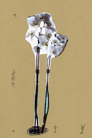 Isa Genzken, Zwei Orchideen, 2014 , Galerie Buchholz