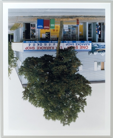Rodney Graham, Main Street Tree, 2006 , Hauser & Wirth Somerset