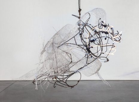 Elliott Hundley, Drawing of Head, 2013 , Regen Projects
