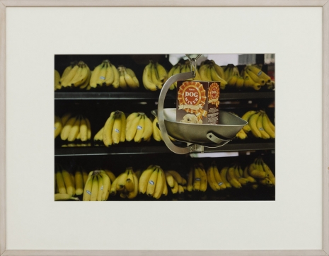 Gabriel Orozco , Dog and bananas, 1993 , Monica De Cardenas