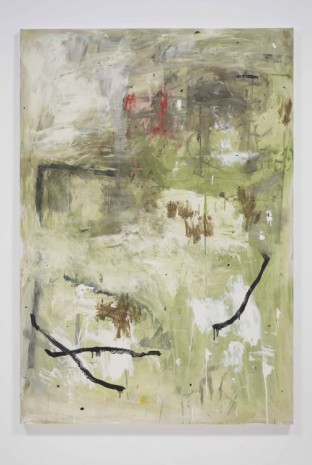 Richard Aldrich, Untitled, 2010-2011, Bortolami Gallery