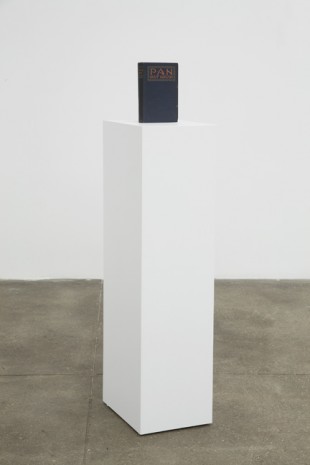 Richard Aldrich, Pan , 2010 , Bortolami Gallery