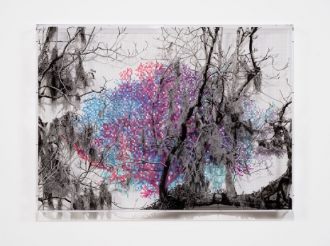 Charles Gaines, Numbers and Trees: Charleston Series 1, Tree #5, Tranquil Drive, 2022 , Hauser & Wirth