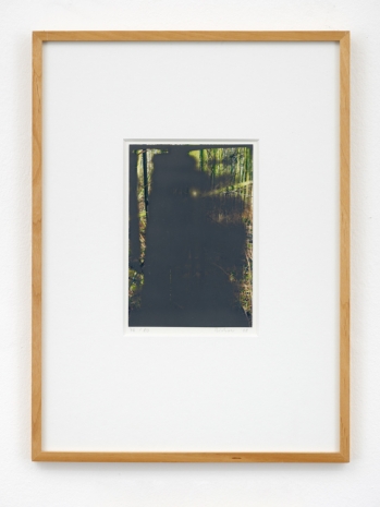 Gerhard Richter, Wald II, 2008 , Sies + Höke Galerie