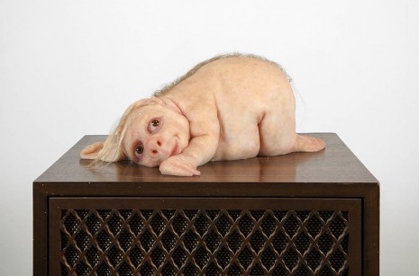 Patricia Piccinini, The Listener, 2012, Roslyn Oxley9 Gallery
