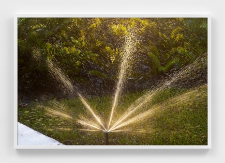 Roe Ethridge, Sprinkler at Dawn in Palm Beach, 2022 , Andrew Kreps Gallery